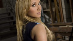 Hayden panettiere Celebrity blondes