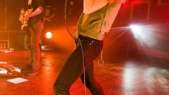 Hayley Williams Celebrity