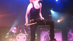 Hayley Williams Celebrity