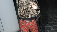 Hayley Williams paramore blondes