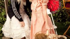 Hayleywilliams high Celebrity