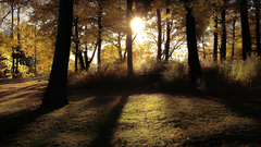 Hdr high untitled Resolution