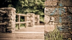 hdr macro Bridge grass closeup blurred wall