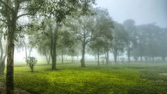 hdr mist fall Park