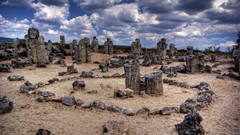 HDR Photography Fossil forest