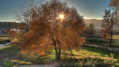 HDR Photography Giallo yoctox