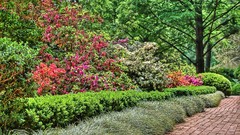 HDR Photography nature