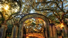 HDR Photography nature fences