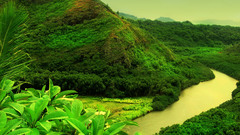 HDR Photography rivers jungle