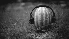 Headphones funny watermelons monochrome