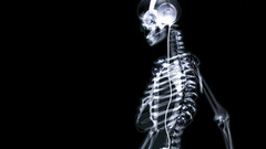 Headphones skeletons