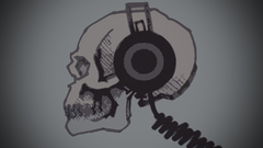 Headphones skulls