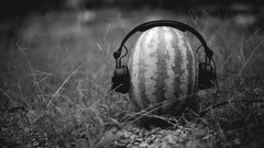 Headphones watermelons grayscale