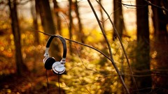 Headphones woods