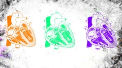 heart colorful medicine Science artwork digital art