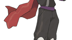 Heartgold soulsilver koga high