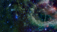 Heartmaffei wise big antwrp