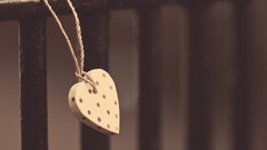 Hearts depth of field necklaces