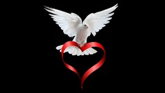Hearts doves