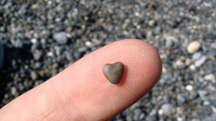 Hearts rocks