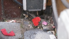 Hearts urban spider webs