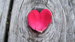 Hearts wood texture flower