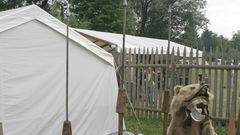 Heavy javelin reenactment More