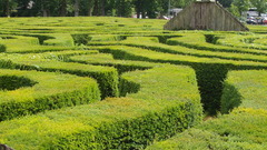 Hedges nature maze