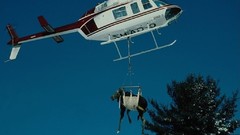 Helicopters vehicles