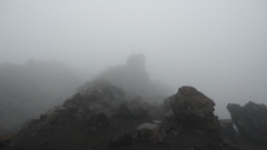 Hell dump You The dsc how