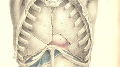 Hello hr in Desperate