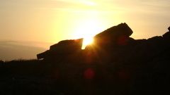 Hello wg had requests