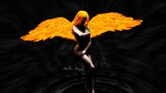 Hells angel burning wings