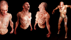 Hemocyte conceptsmoar high