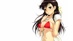 Hentai boobs bikini happoubi