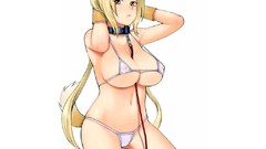 Hentai nekomimi Anime