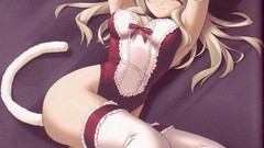 Hentai nekomimi Anime Manga