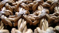 Here and vietnam woodstock