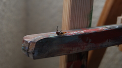 Here anon delivers high