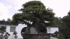 Here forgot that had