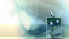 Here lotusmidday peaceful dump