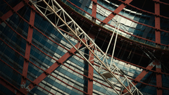 Here photographer Another The bow from same