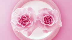 Here still them want