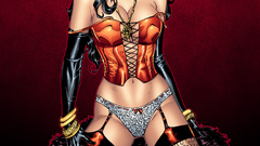 Heroines stockings comics corset