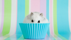 Herrhildezart by hoschie here