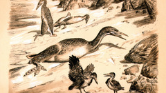 Hesperornis Zdenek Burian prehistoric