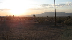 Hey guys! was wondering