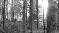 Hi res anyone unrelated