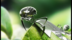 Hiding in The leaves