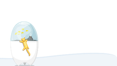 High 1600 Resolution kittytank